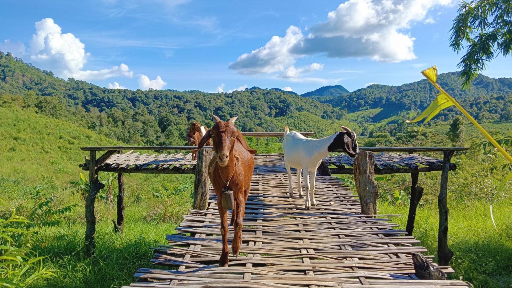 ไร่นิธิสุนทร Nithisoonthon Farmstay Мэхонгсон Экстерьер фото