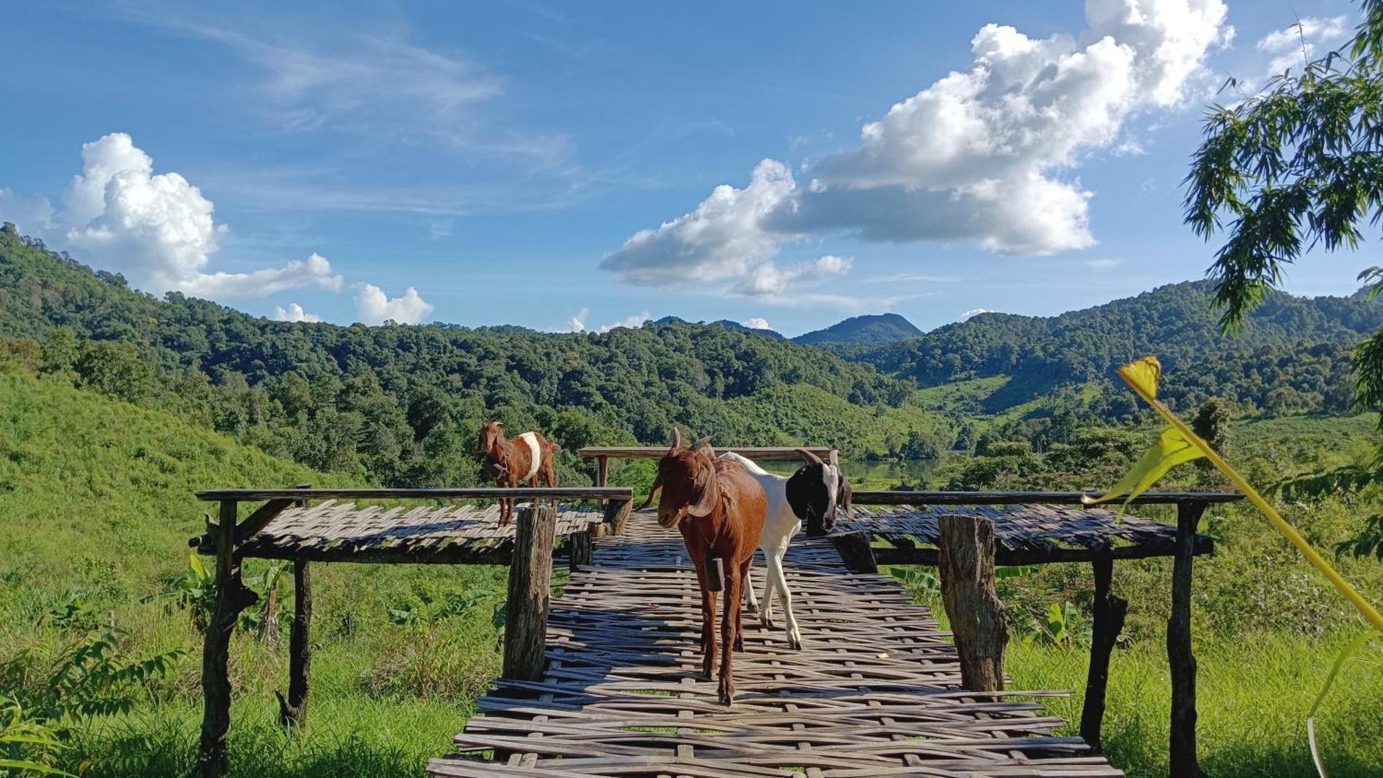 ไร่นิธิสุนทร Nithisoonthon Farmstay Мэхонгсон Экстерьер фото