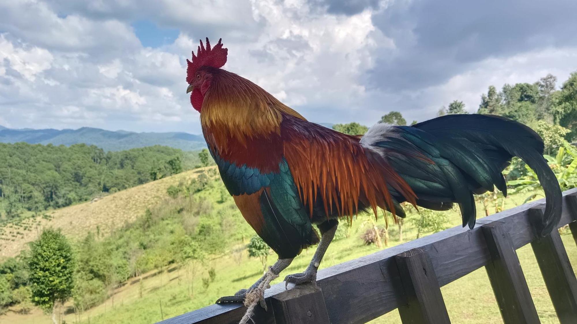 ไร่นิธิสุนทร Nithisoonthon Farmstay Мэхонгсон Экстерьер фото