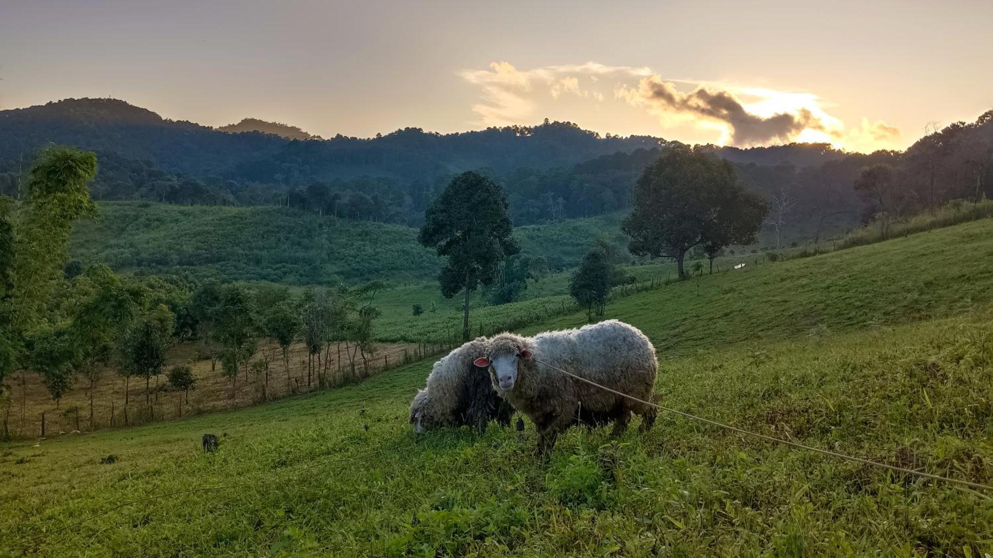 ไร่นิธิสุนทร Nithisoonthon Farmstay Мэхонгсон Экстерьер фото