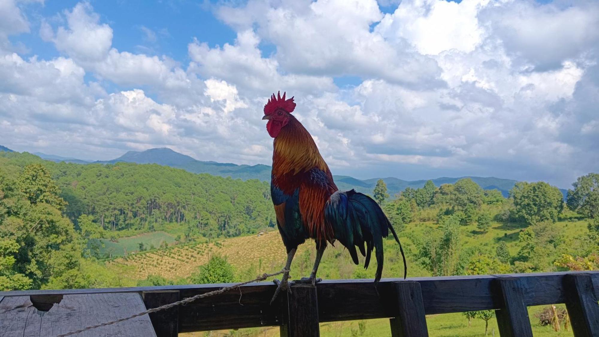 ไร่นิธิสุนทร Nithisoonthon Farmstay Мэхонгсон Экстерьер фото